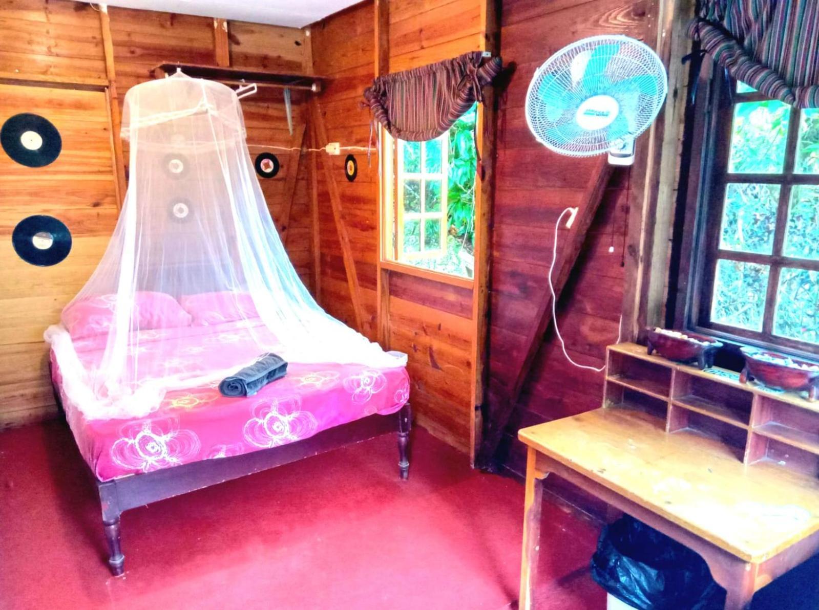 La Familia Guest House And Natural Farm ポート・アントニオ エクステリア 写真