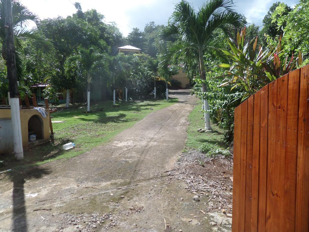 La Familia Guest House And Natural Farm ポート・アントニオ エクステリア 写真