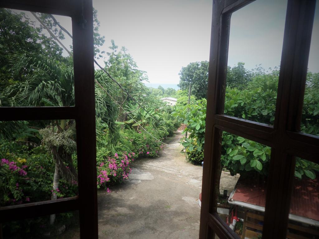 La Familia Guest House And Natural Farm ポート・アントニオ エクステリア 写真